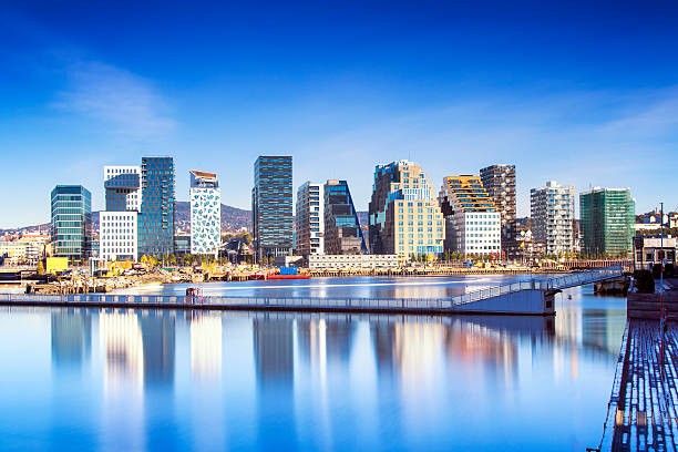 NAVIGATING NORDIC CAPITAL MARKETS